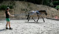 Ausbildung von Pferd und Reiter
